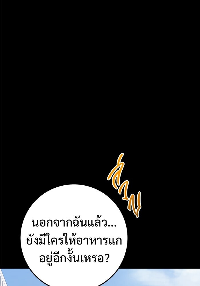 ราชินีนักบู๊ - หน้า 213